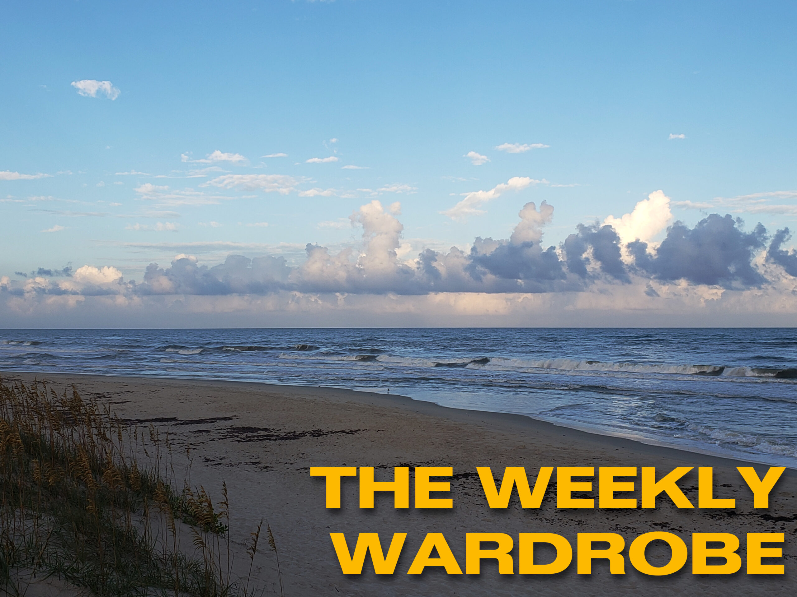 The Weekly Wardrobe: June 1-5, 2026